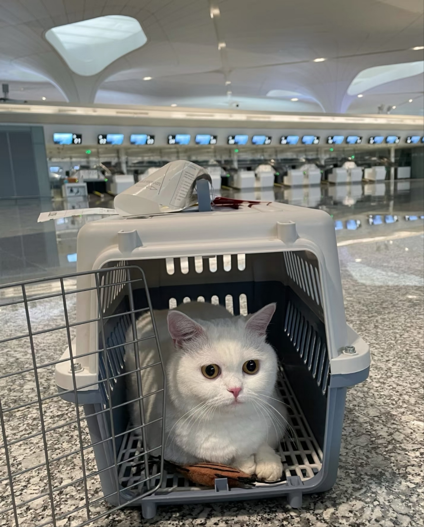 ���跽�۳���������ʵ����ȫ���̼�¼