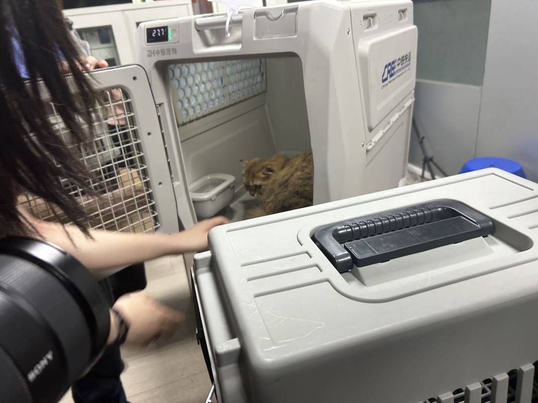 ���跽�۳����������Žӳ��ֳ�ʵ��