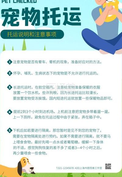 ���跽�۳������˽������ע������