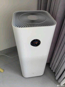 �������� ���������� ���ҳ���������ԭ ��ͥ��������