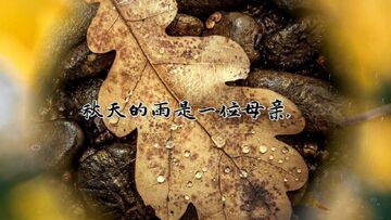 ������������̾�����Ȧ��ͼ�İ��ϼ�