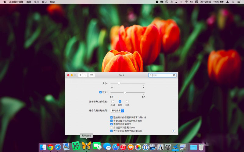 DockView for Mac 使用技巧 触发位置设置 动画效果