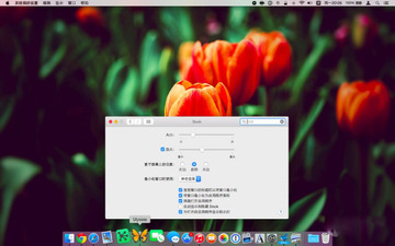 DockView for Mac 使用技巧 触发位置设置 动画效果