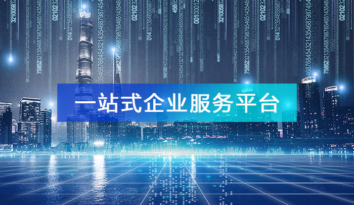 宣智服务官方平台一站式企业解决方案整体界面功能展示