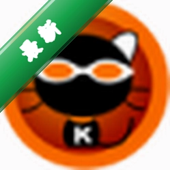 KK录像机