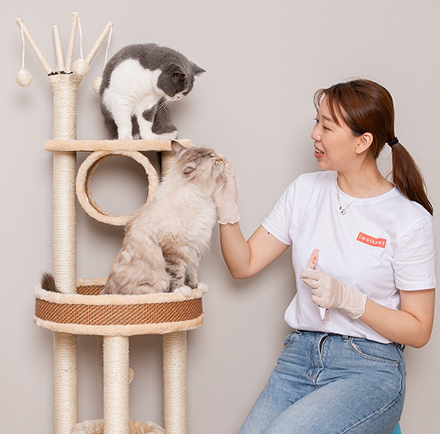 宠好伴(上门喂猫遛狗喂养服务)喂养员与猫咪互动场景