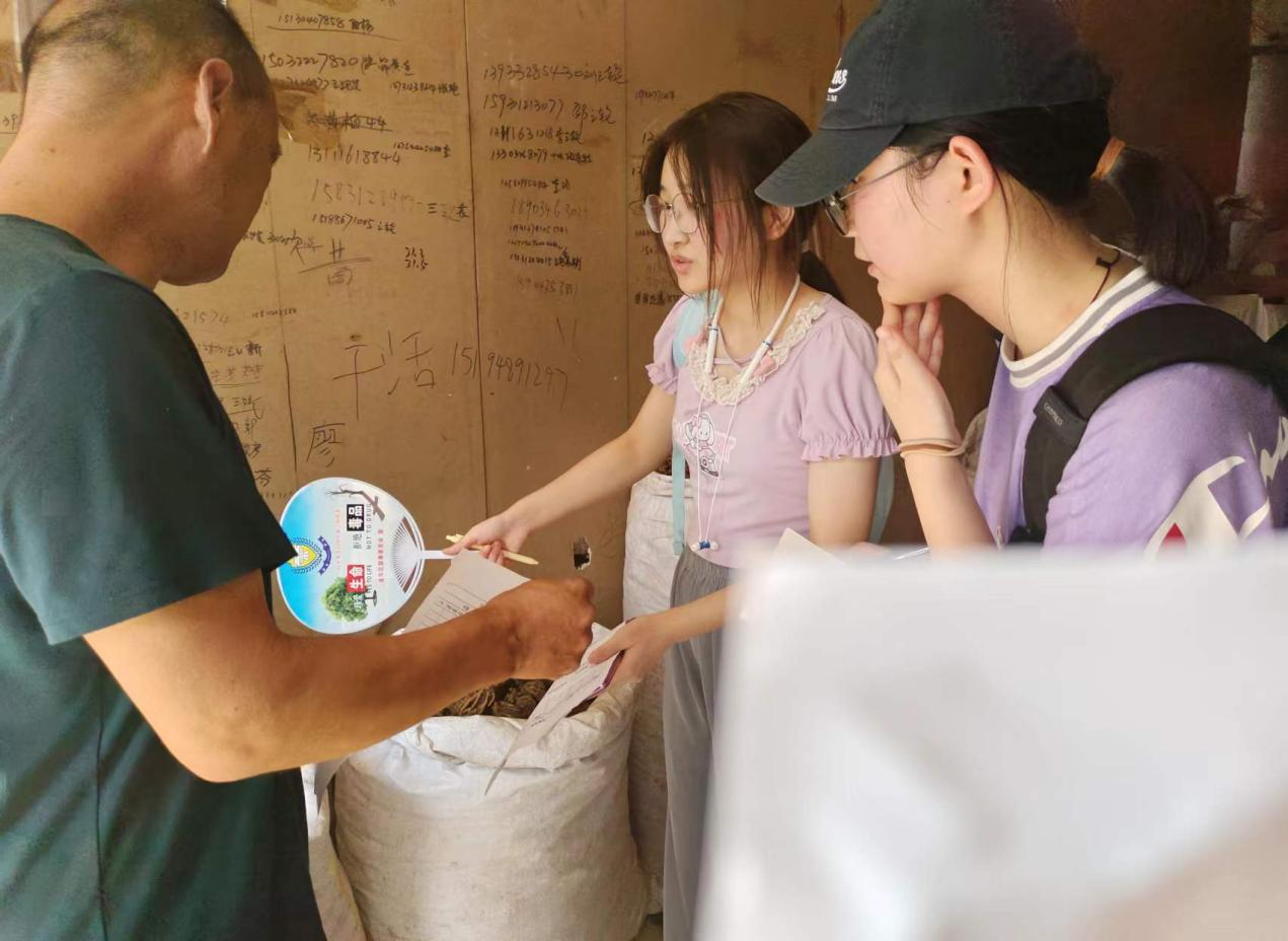 祁草寻真开箱验货细节展示图