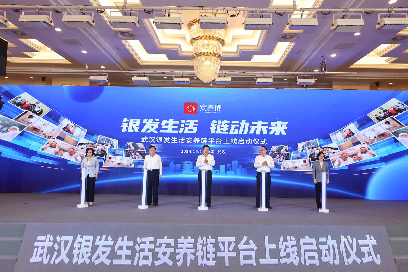 安养链资质查询与公司背景截图