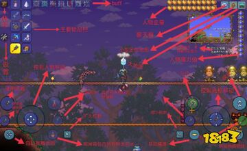 泰拉瑞亚苹果电脑版游戏内设置界面截图