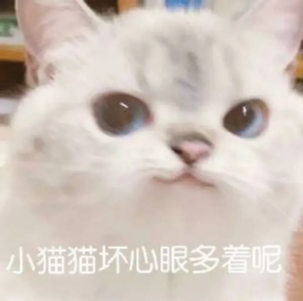 哈咪猫表情包可爱日常聊天必备合集 软萌搞笑名场面