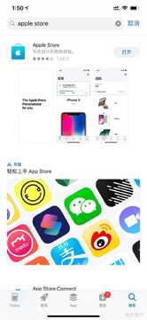 SettleinAI陪伴软件官方正版苹果App Store下载页面