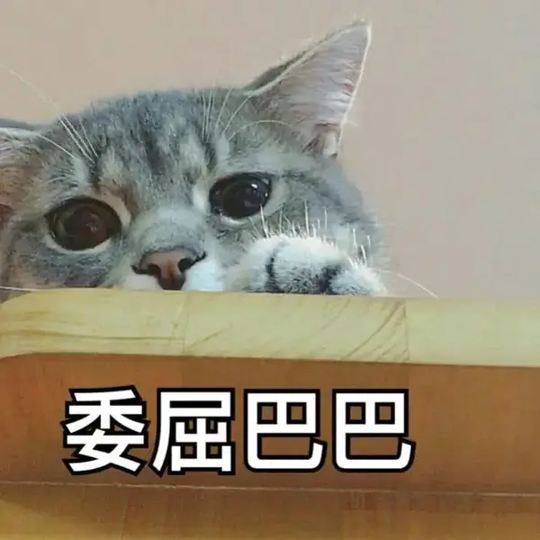 ����è�����ȫ�׺ϼ� ��Ȥè������ر�