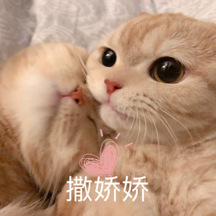 ����è������ճ����쳣�ó��� �������ȱ���