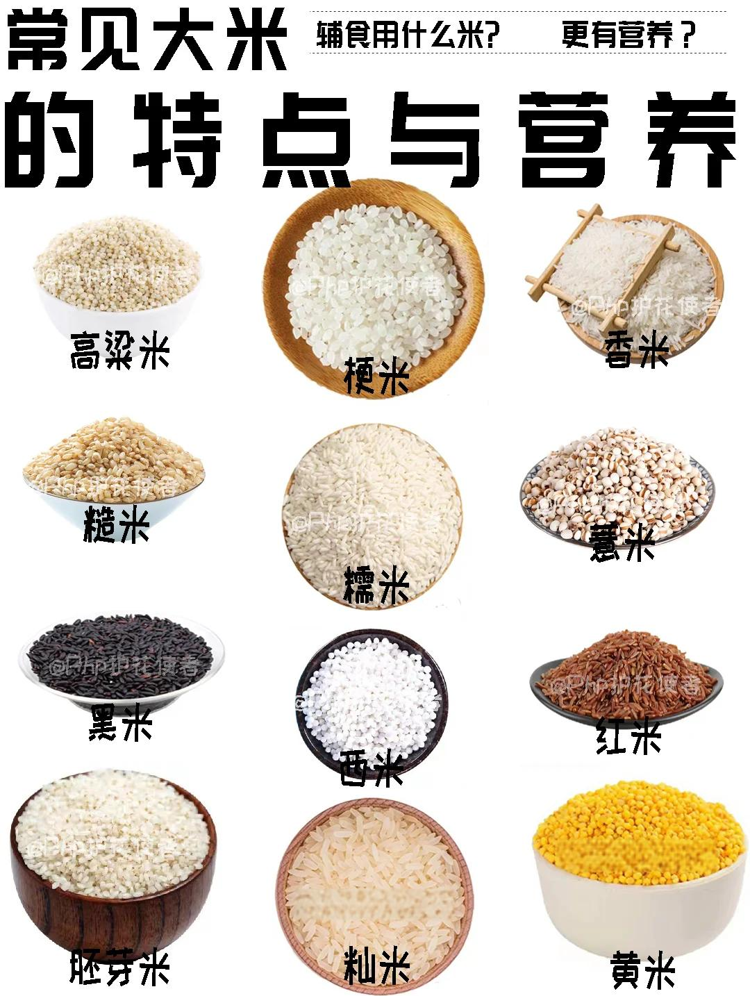 米贝用途分类对比图