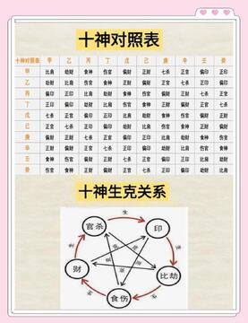 论八字排盘十神怎么定新手入门详解