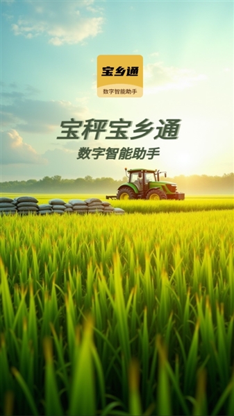 宝乡通搜索本地服务关键词输入界面