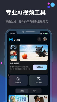 Vidu AI Pro手机版新手教程从下载到出片全流程配图
