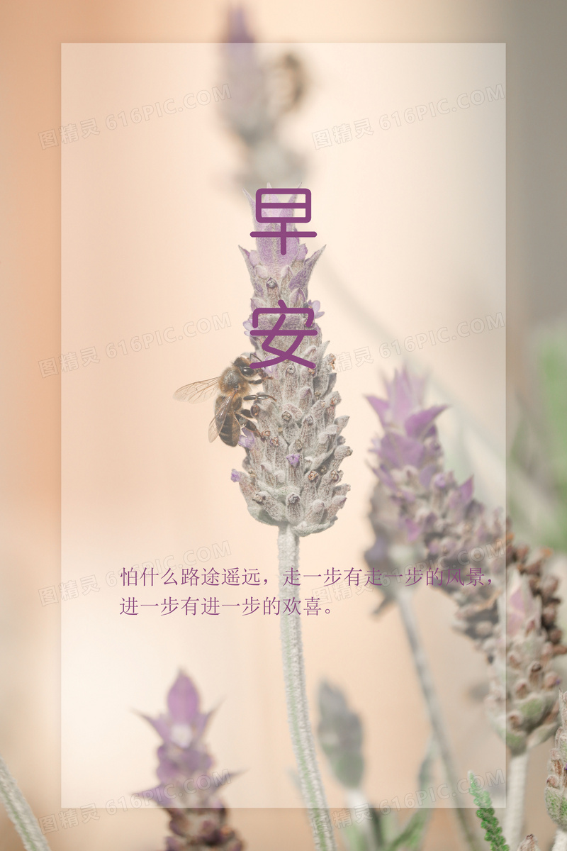 安念心语早安短句手机壁纸配图