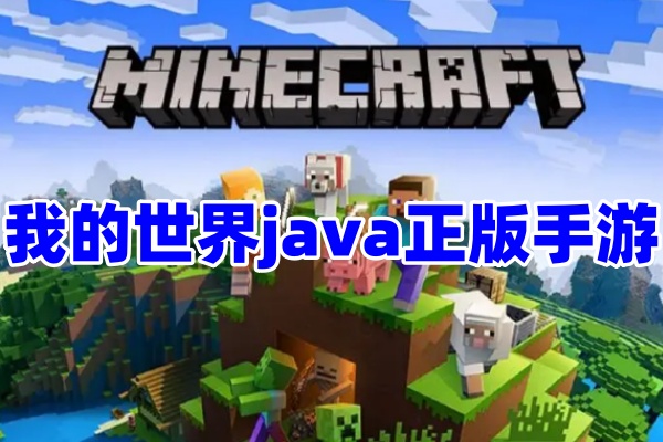 次世代我的世界ShardLauncher启动器官方正版 报错解决 Java设置 日志界面