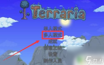 泰拉瑞亚1.4.5.8汉化版联机设置界面配图