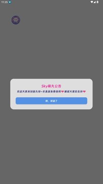 sky萌丸光遇助手免费版安装设置步骤 光遇助手悬浮窗权限开启界面
