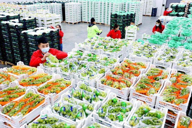 农贸人农产品批发采购平台冷链物流发货农产品到货实拍