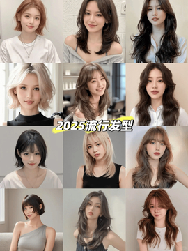 2025���з�������С���䷢���Ƽ��ϼ�