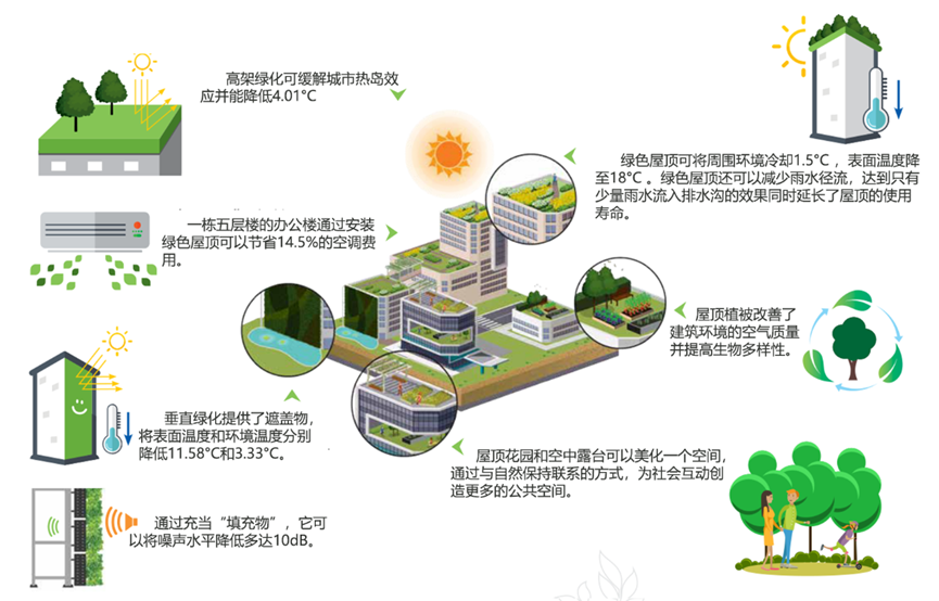 可持续发展 绿色生活日常场景 环保买菜出行