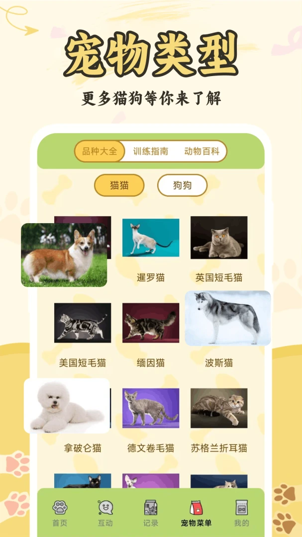 猫狗人交流翻译器官方版2026最新版1.0.2.F截图3