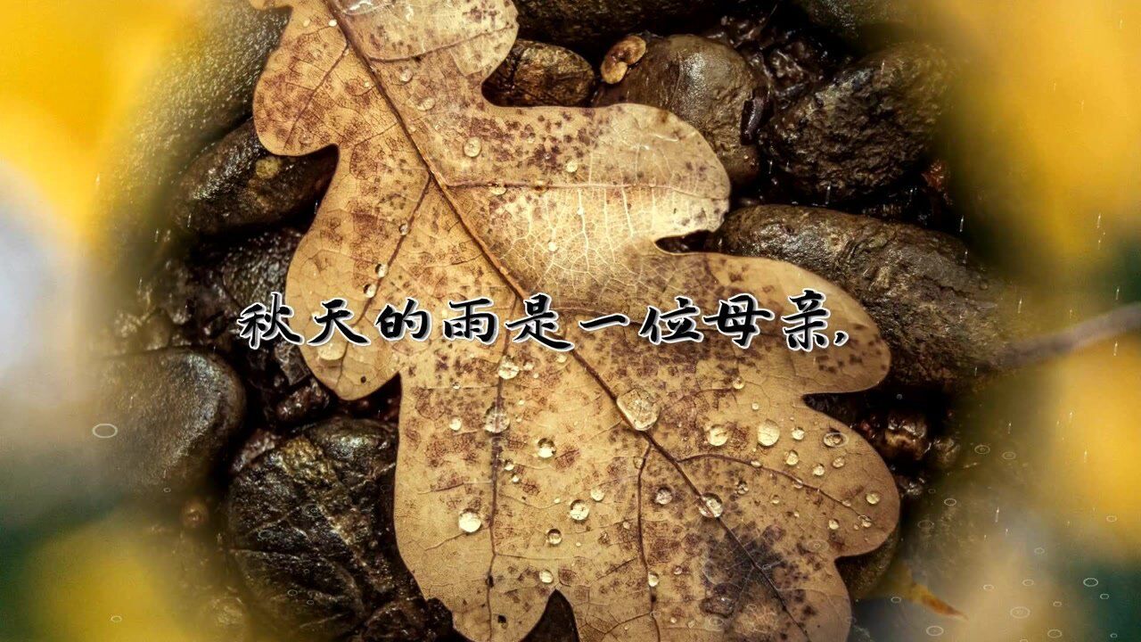 ������������Ȧ�����İ���ͼ
