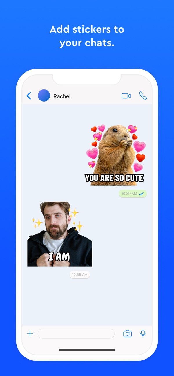 AnimalArtSticker贴纸软件安卓版官方版下载安装全流程