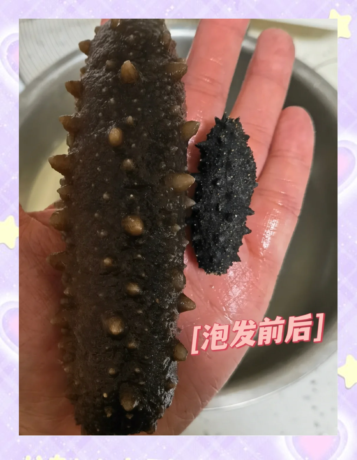 海参易购海参泡发后肉质饱满展示图
