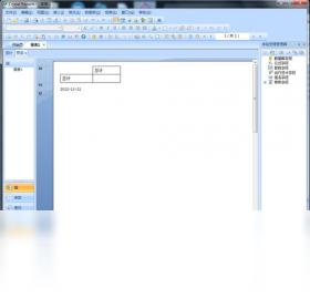 Crystal Reports截图0
