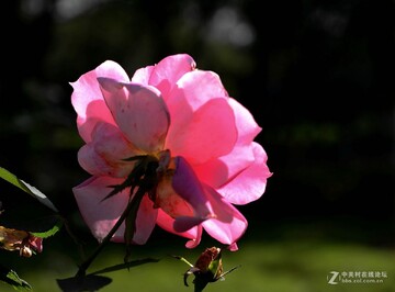 �籣ͨAPP���ص�¼ʵ����֤�����ͼ