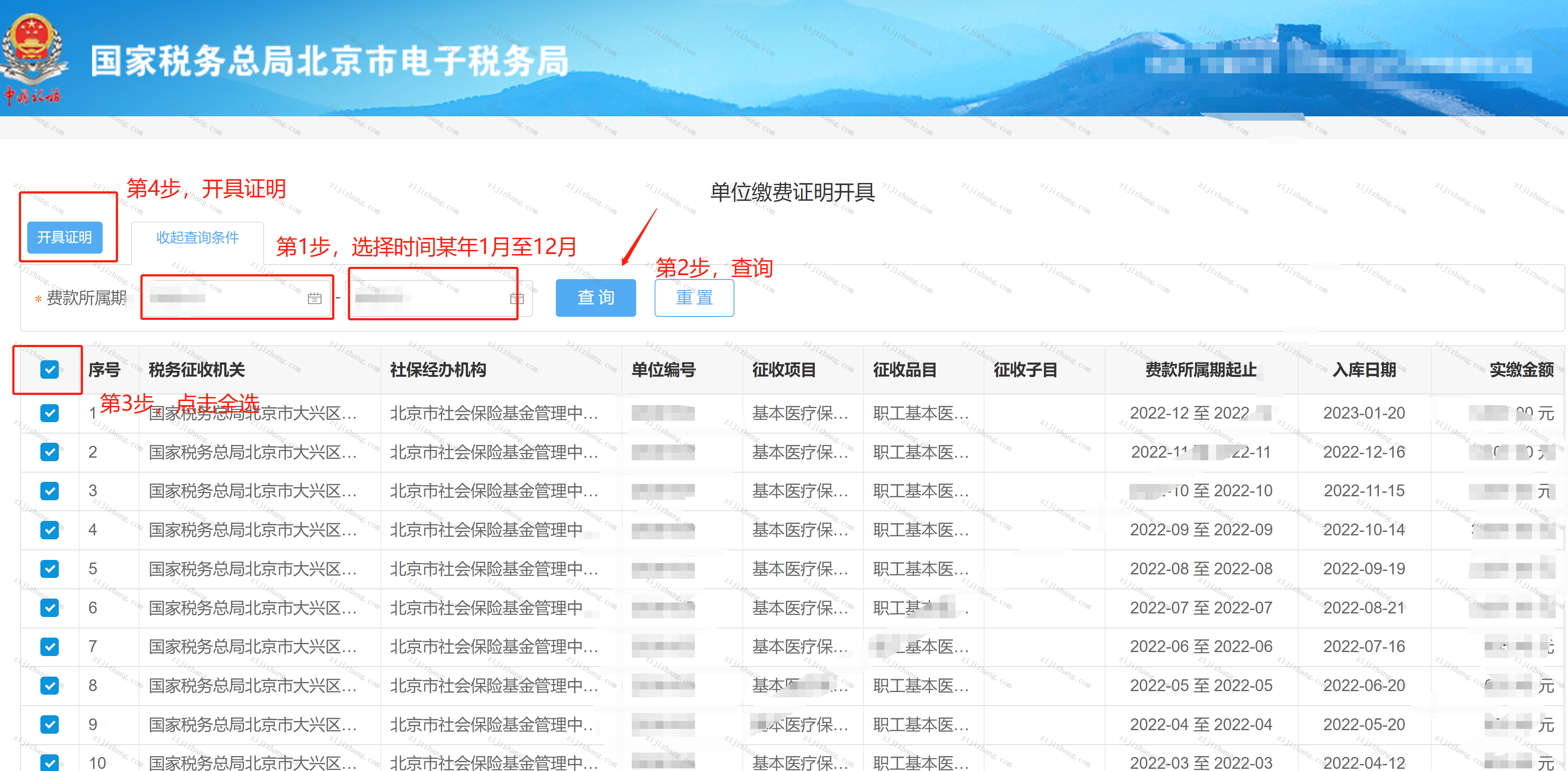 社保通个人缴费明细数据页面展示