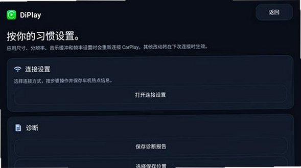 DiPlay车机汉化版手机版0.2.14截图2