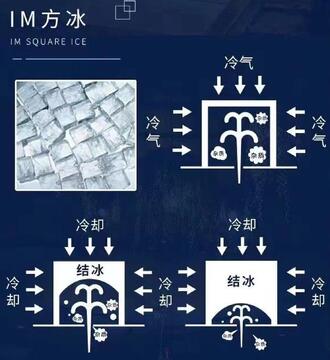 冰块融化 科学原理与生活妙招全解析