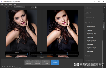 CameraBag Pro for Mac ����ʹ������ͳ�ƬЧ��
