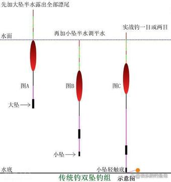 鱼口大师不同鱼种抓口信号对比图