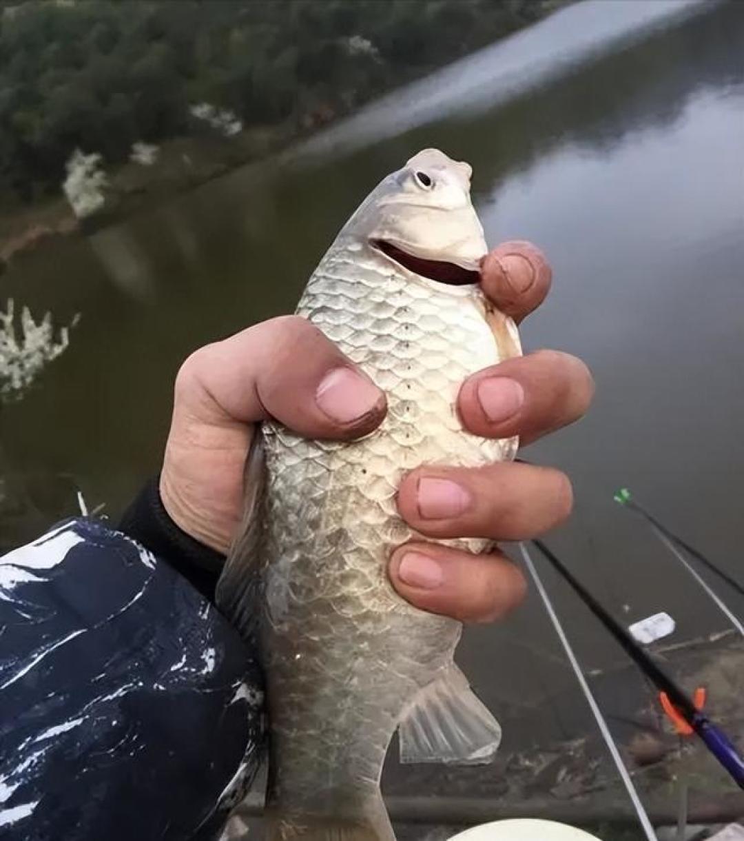 ��ڴ�ʦ��׼ץ������������ʵսͼ��