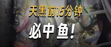鱼口大师抓口实战经验总结配图
