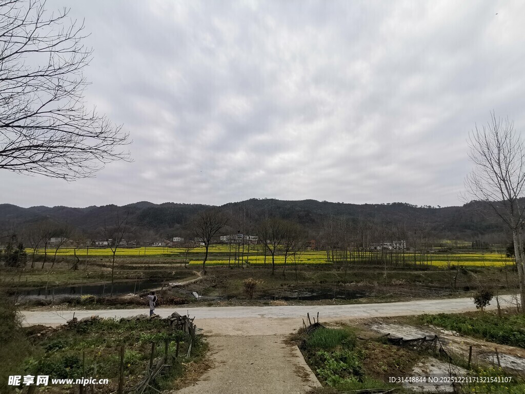 嗨走乡村宁静田园小路风景
