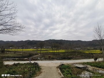 嗨走乡村宁静田园小路风景