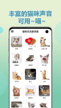 ���ｻ���� ���﷭���� App ���� ׼ȷ�� �Ա� ��ͼ