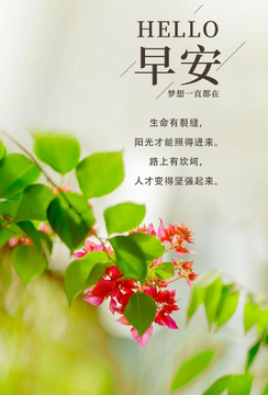 ��������ÿ��һ���������