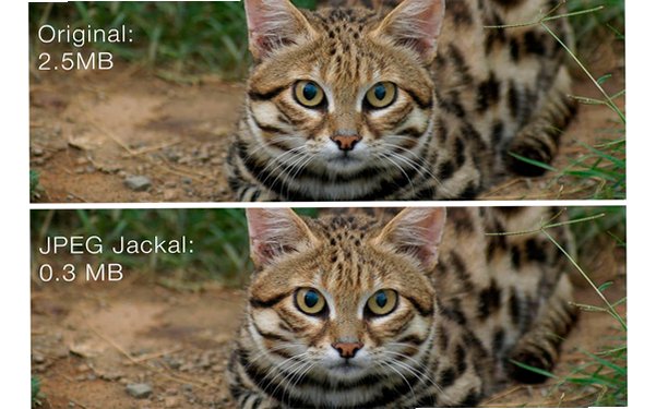 JPEG Jackal for Mac截图1