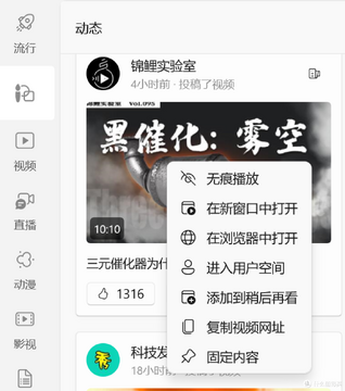 BiliPai纯净B站第三方客户端 对比官方客户端 功能取舍 登录安全