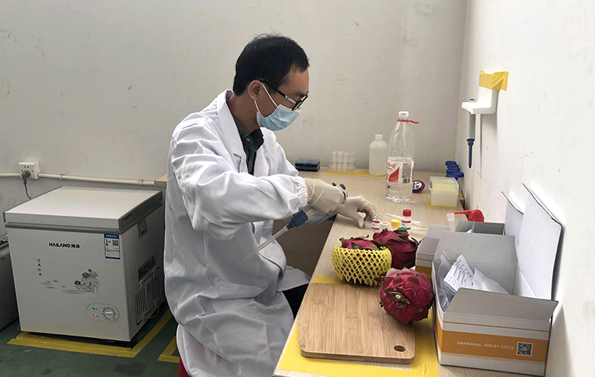 云链果仓新鲜水果开箱验货实拍