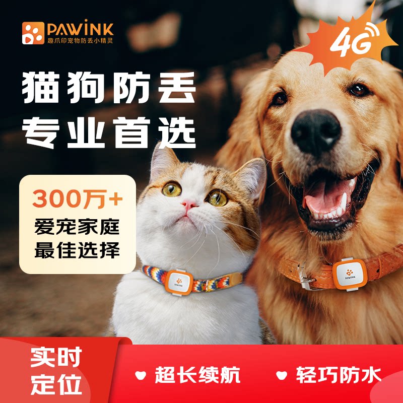 趣爪印宠物智能用品真实测评新手养宠必看
