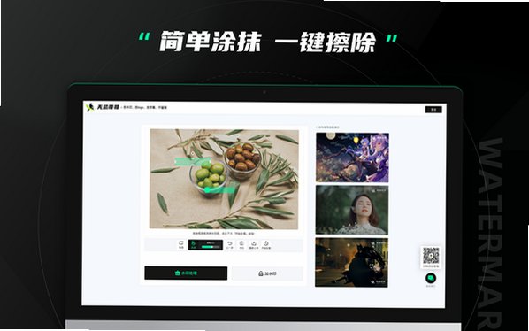 无忌哥哥去水印 for Mac截图1